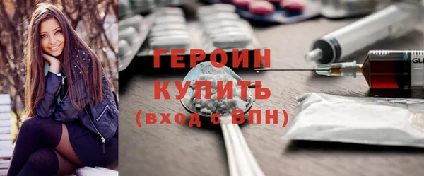 твердый Гусев