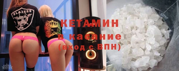 индика Гусь-Хрустальный