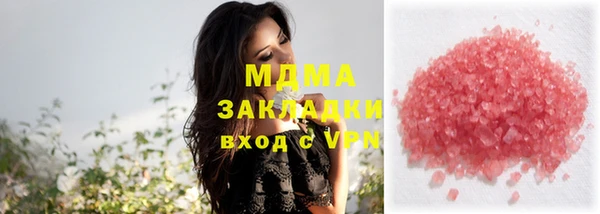 индика Гусь-Хрустальный