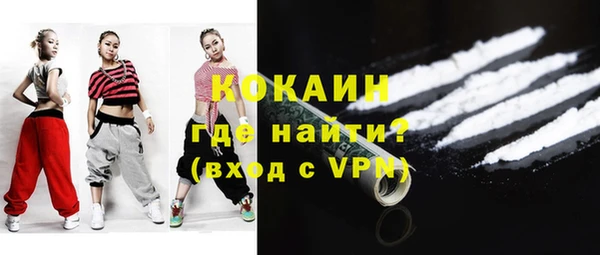 индика Гусь-Хрустальный
