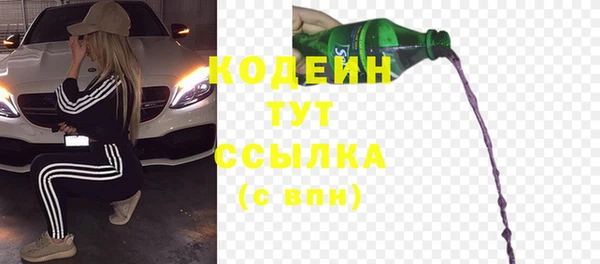 индика Гусь-Хрустальный