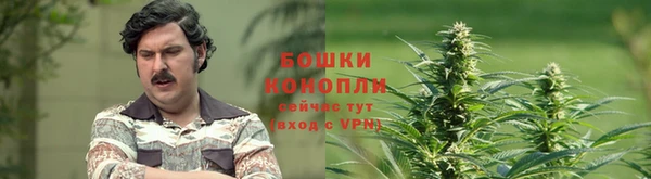 прущая мука Гусиноозёрск