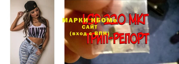 индика Гусь-Хрустальный