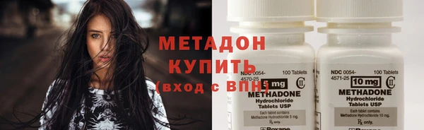 индика Гусь-Хрустальный