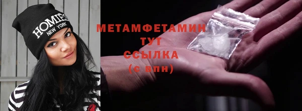 твердый Гусев