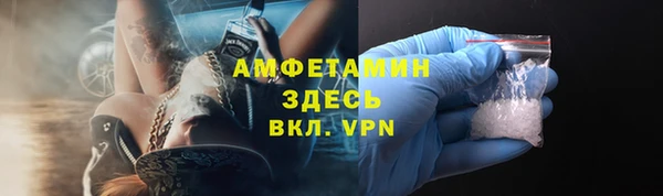 твердый Гусев