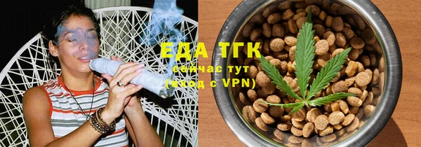 индика Гусь-Хрустальный