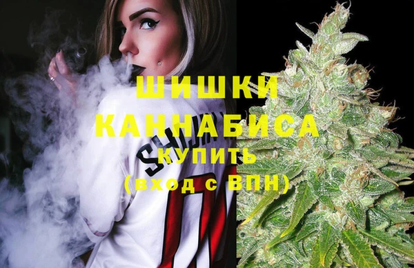 ешки Новодвинск