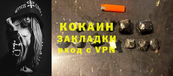 индика Гусь-Хрустальный