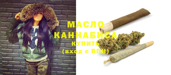 индика Гусь-Хрустальный